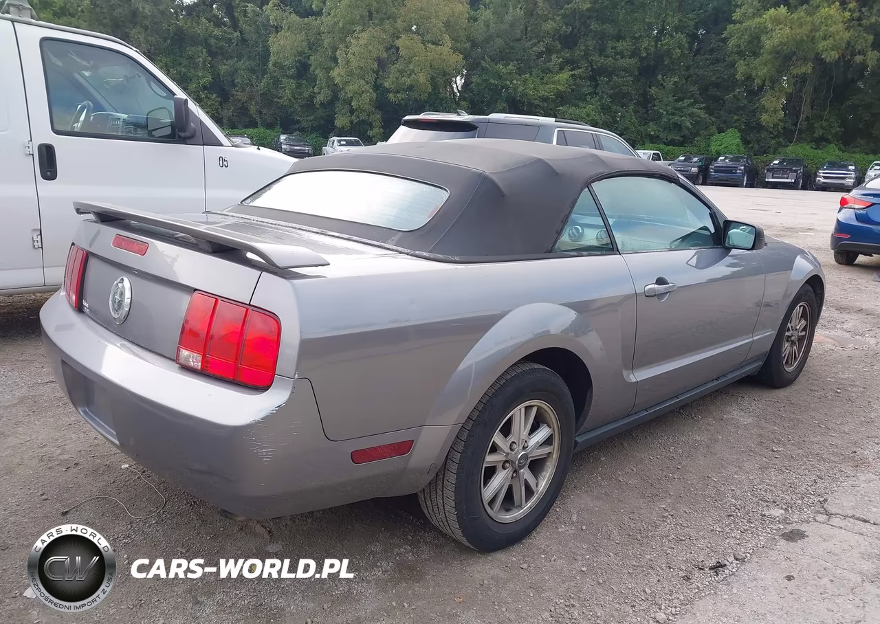 2006 Ford Mustang V6 VIN:1ZVHT84NX65117897 - 4
