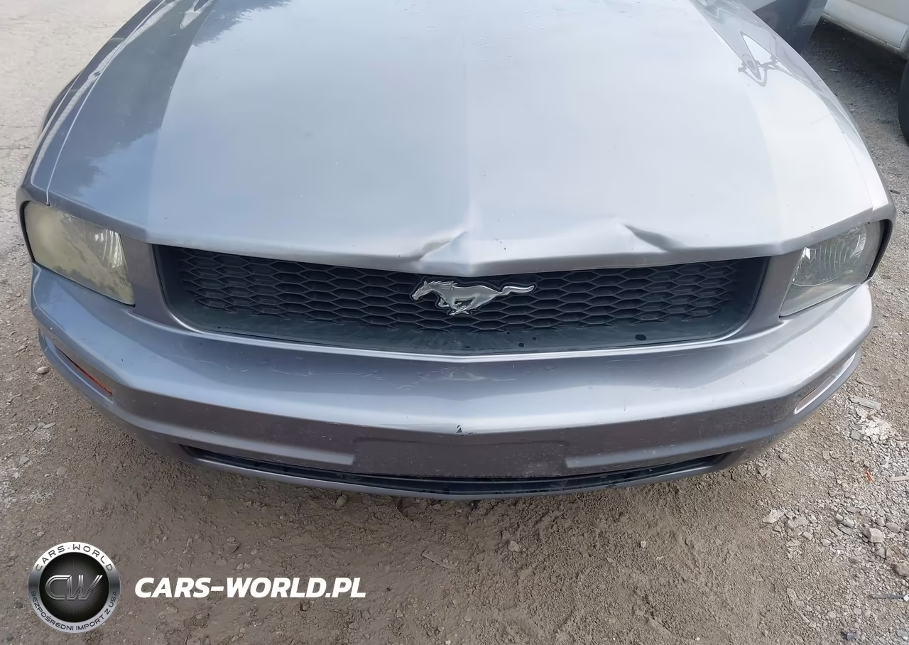 2006 Ford Mustang V6 VIN:1ZVHT84NX65117897 - 6