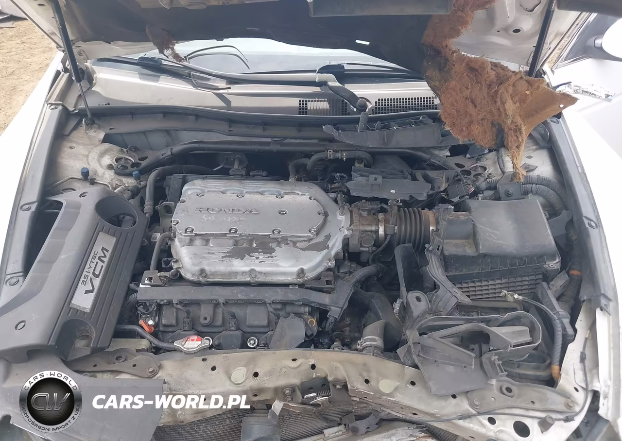 2009 Honda Accord Exl VIN:1HGCS22829A003562 - 10