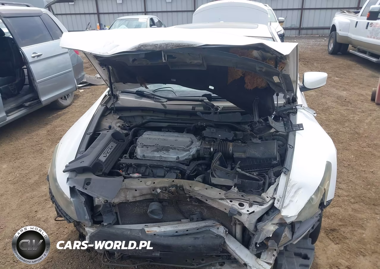 2009 Honda Accord Exl VIN:1HGCS22829A003562 - 6