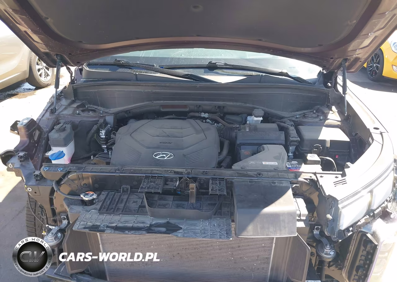 2024 Hyundai Palisade Calligraphy VIN:KM8R7DGE1RU781222 - 10