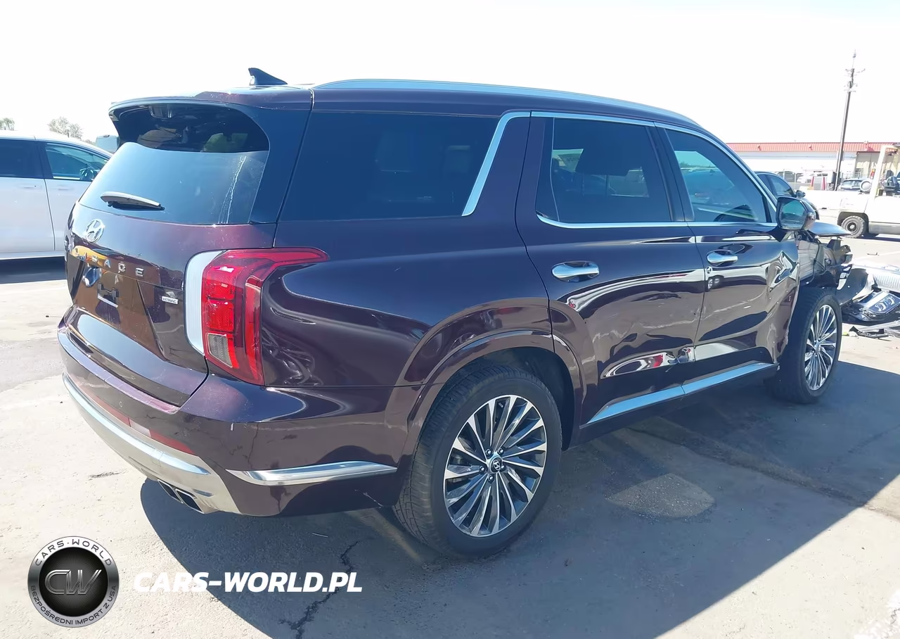 2024 Hyundai Palisade Calligraphy VIN:KM8R7DGE1RU781222 - 4