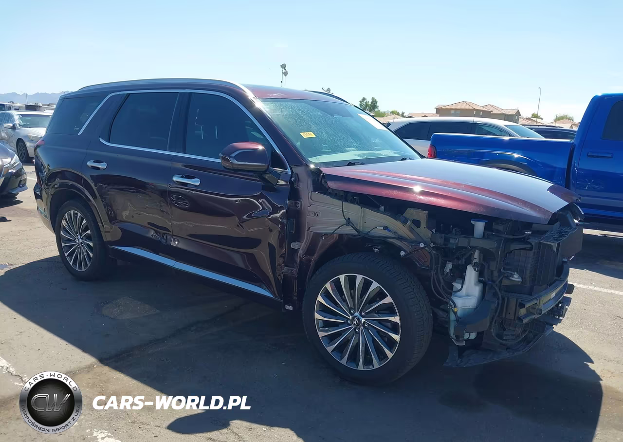 2024 Hyundai Palisade Calligraphy VIN:KM8R7DGE1RU781222 - 6