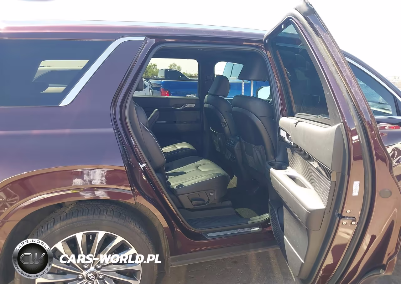 2024 Hyundai Palisade Calligraphy VIN:KM8R7DGE1RU781222 - 8