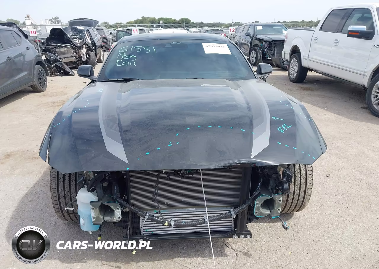 2025 Ford Mustang Ecoboost Fastback VIN:1FA6P8TH2S5132663 - 11