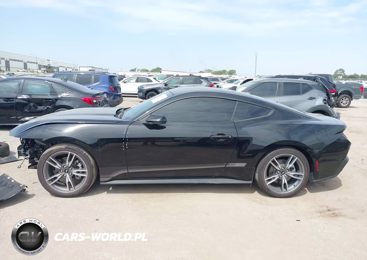 2025 Ford Mustang Ecoboost Fastback VIN:1FA6P8TH2S5132663 - 13