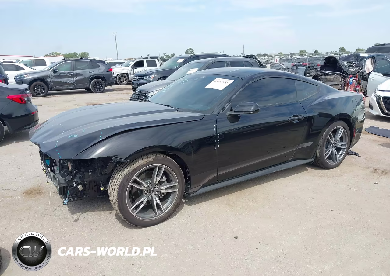 2025 Ford Mustang Ecoboost Fastback VIN:1FA6P8TH2S5132663 - 2