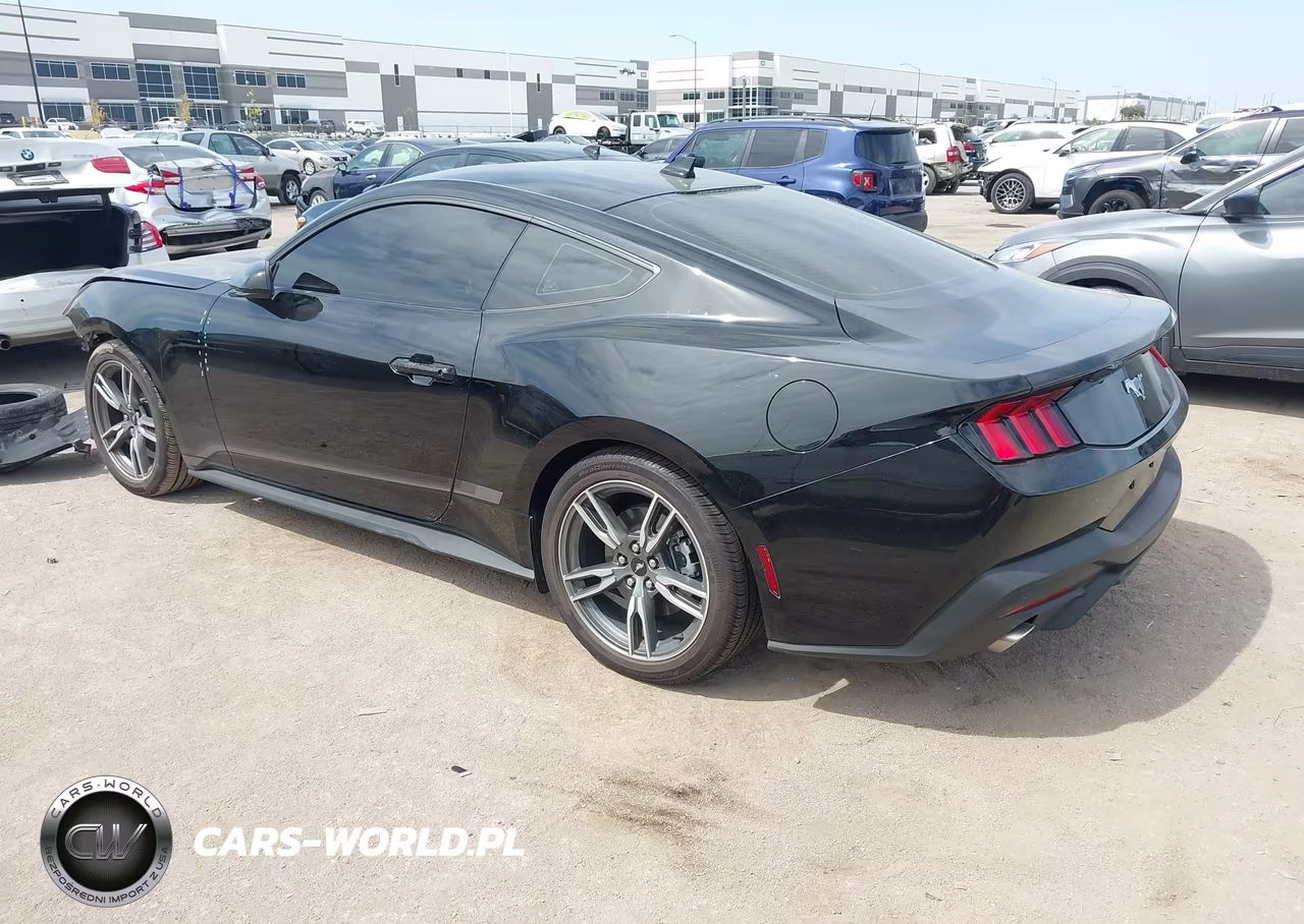 2025 Ford Mustang Ecoboost Fastback VIN:1FA6P8TH2S5132663 - 3
