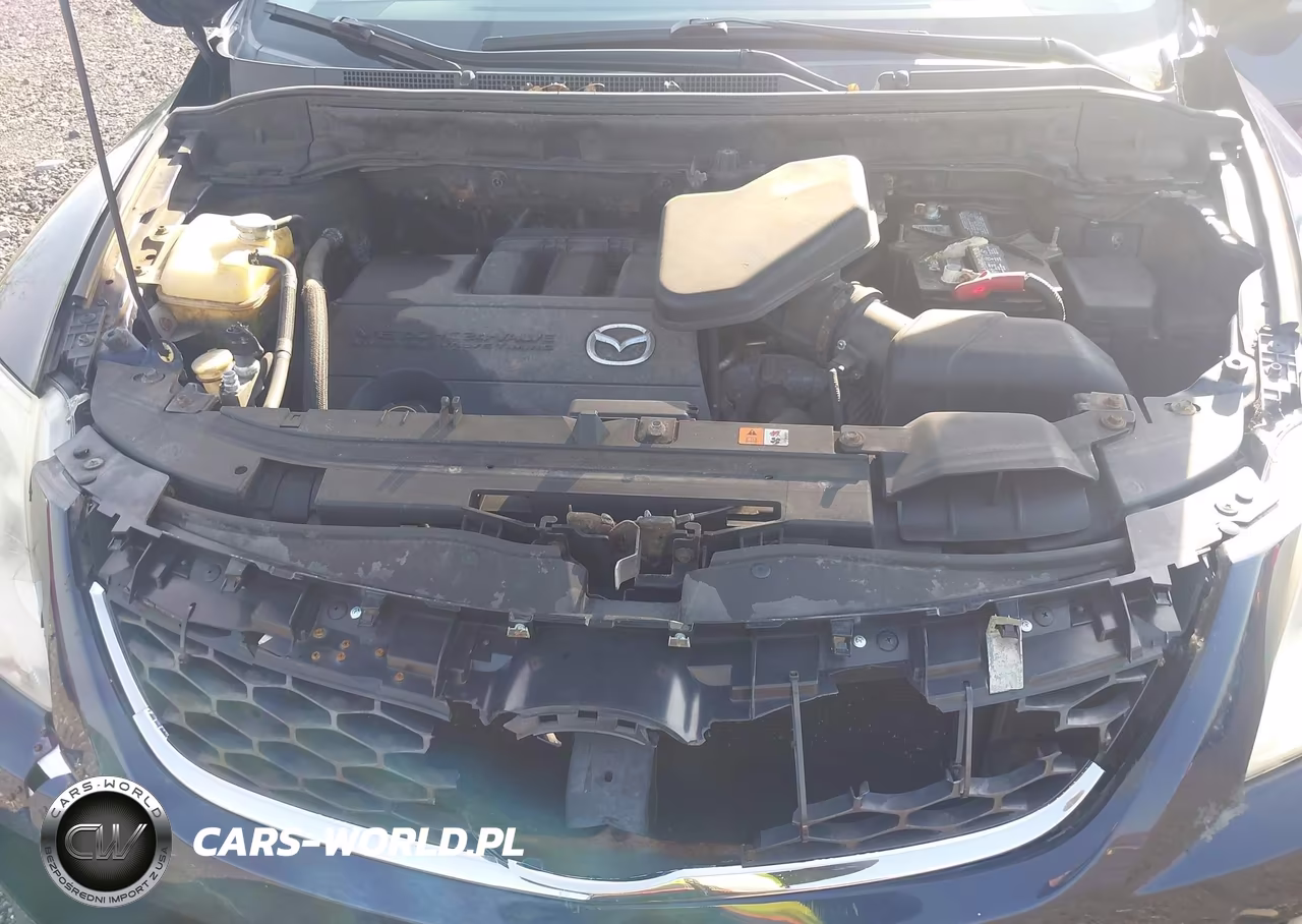 2010 Mazda Cx-9 Touring VIN:JM3TB3MV5A0236957 - 10