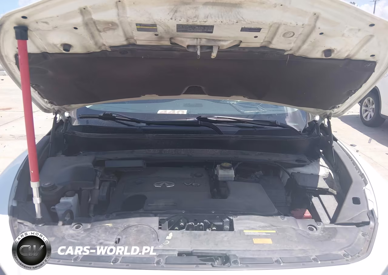 2016 Infiniti Qx60 VIN:5N1AL0MN9GC505508 - 10