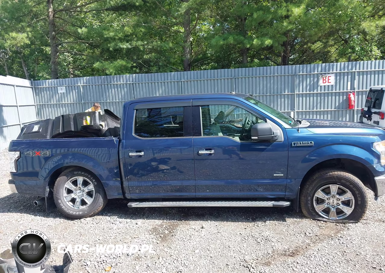 2016 Ford F-150 Xlt VIN:1FTEW1EG5GFD15819 - 13
