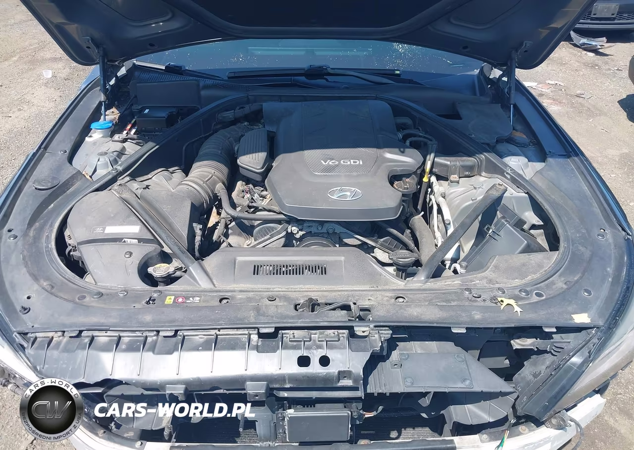 2016 Hyundai Genesis 3.8 VIN:KMHGN4JE8GU116076 - 10