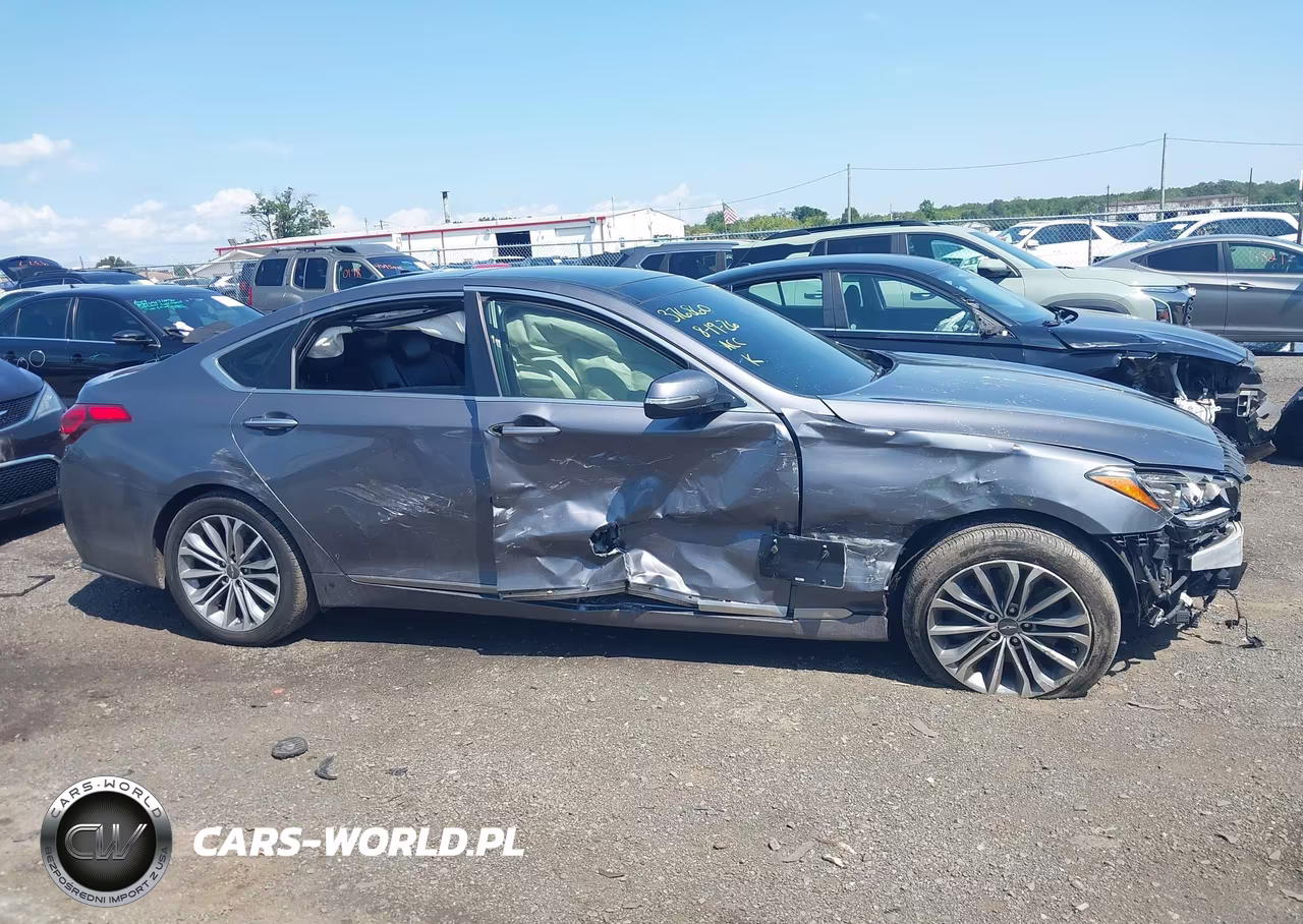 2016 Hyundai Genesis 3.8 VIN:KMHGN4JE8GU116076 - 13