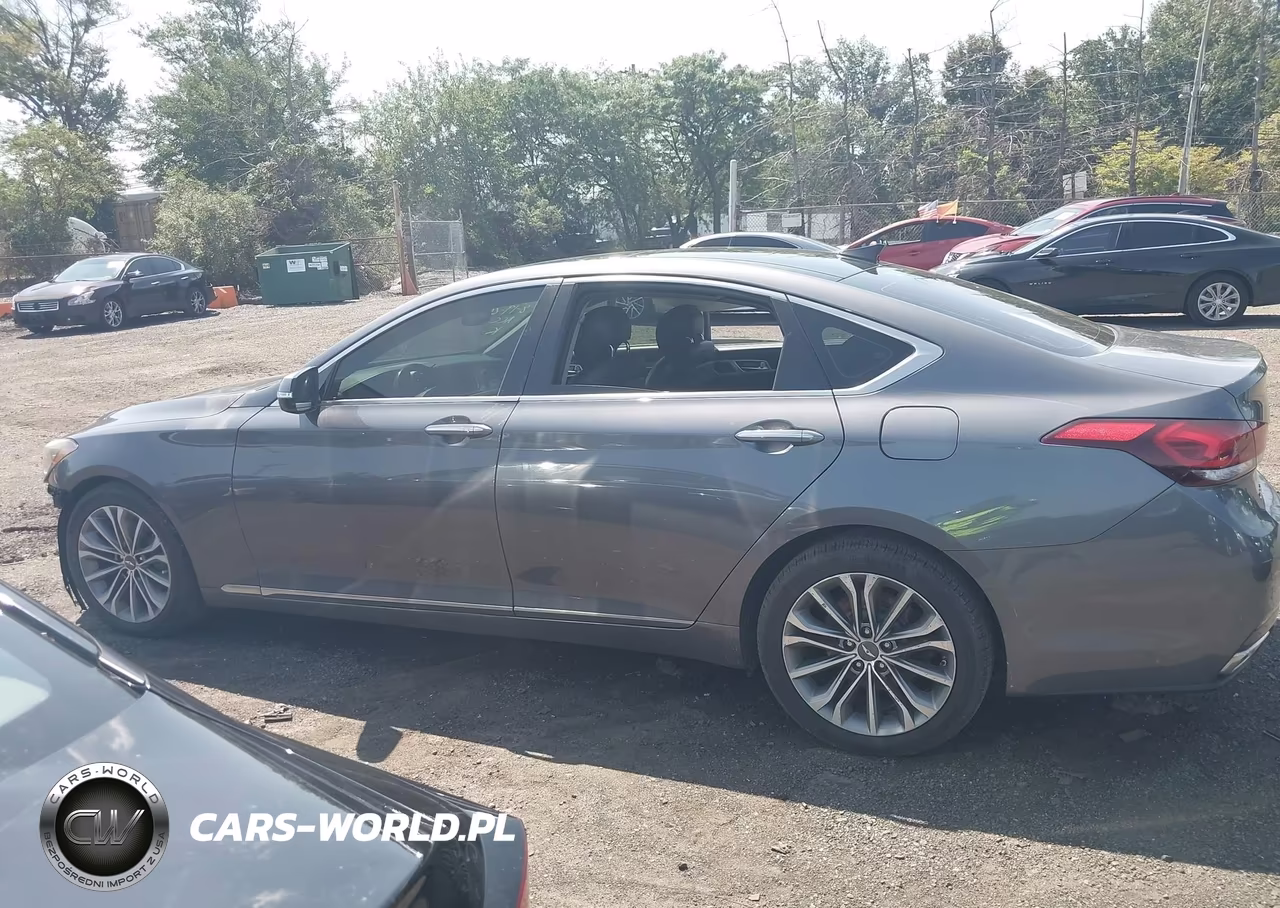 2016 Hyundai Genesis 3.8 VIN:KMHGN4JE8GU116076 - 14