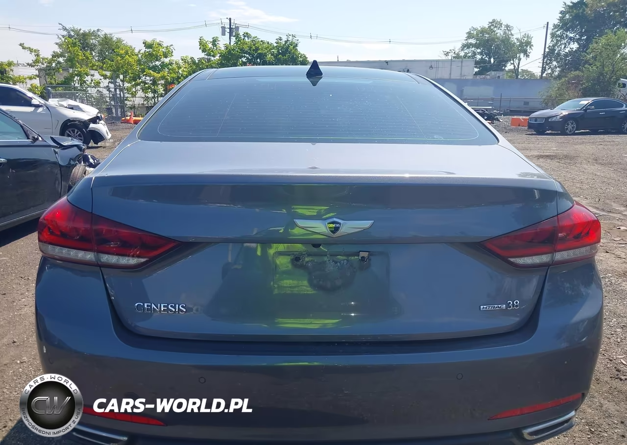 2016 Hyundai Genesis 3.8 VIN:KMHGN4JE8GU116076 - 16