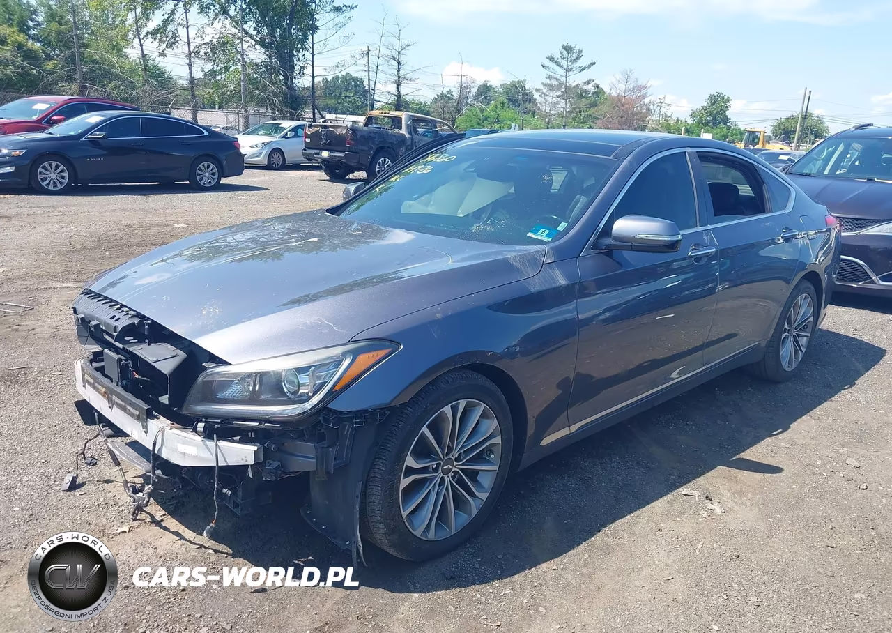 2016 Hyundai Genesis 3.8 VIN:KMHGN4JE8GU116076 - 2