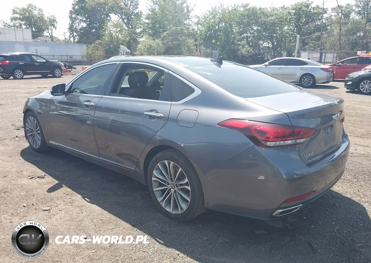 2016 Hyundai Genesis 3.8 VIN:KMHGN4JE8GU116076 - 3