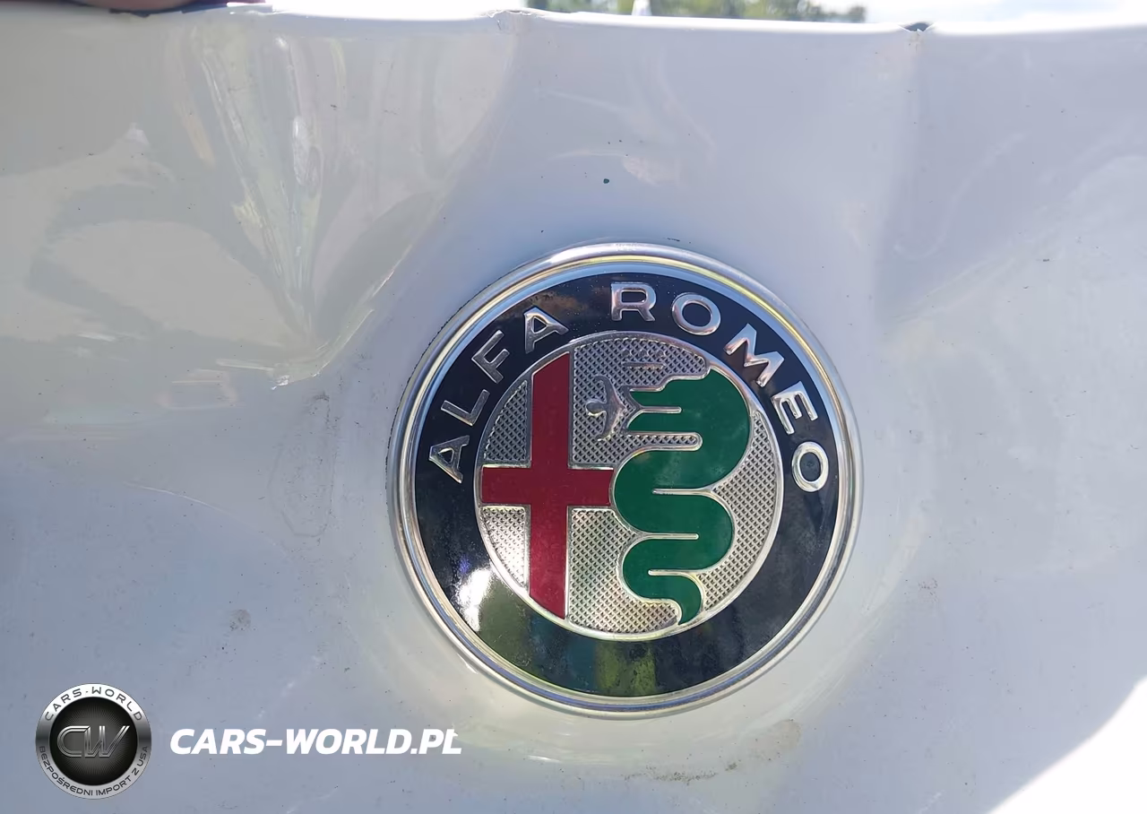 2018 Alfa Romeo Giulia Ti Lusso Awd VIN:ZARFAEEN4J7563432 - 19