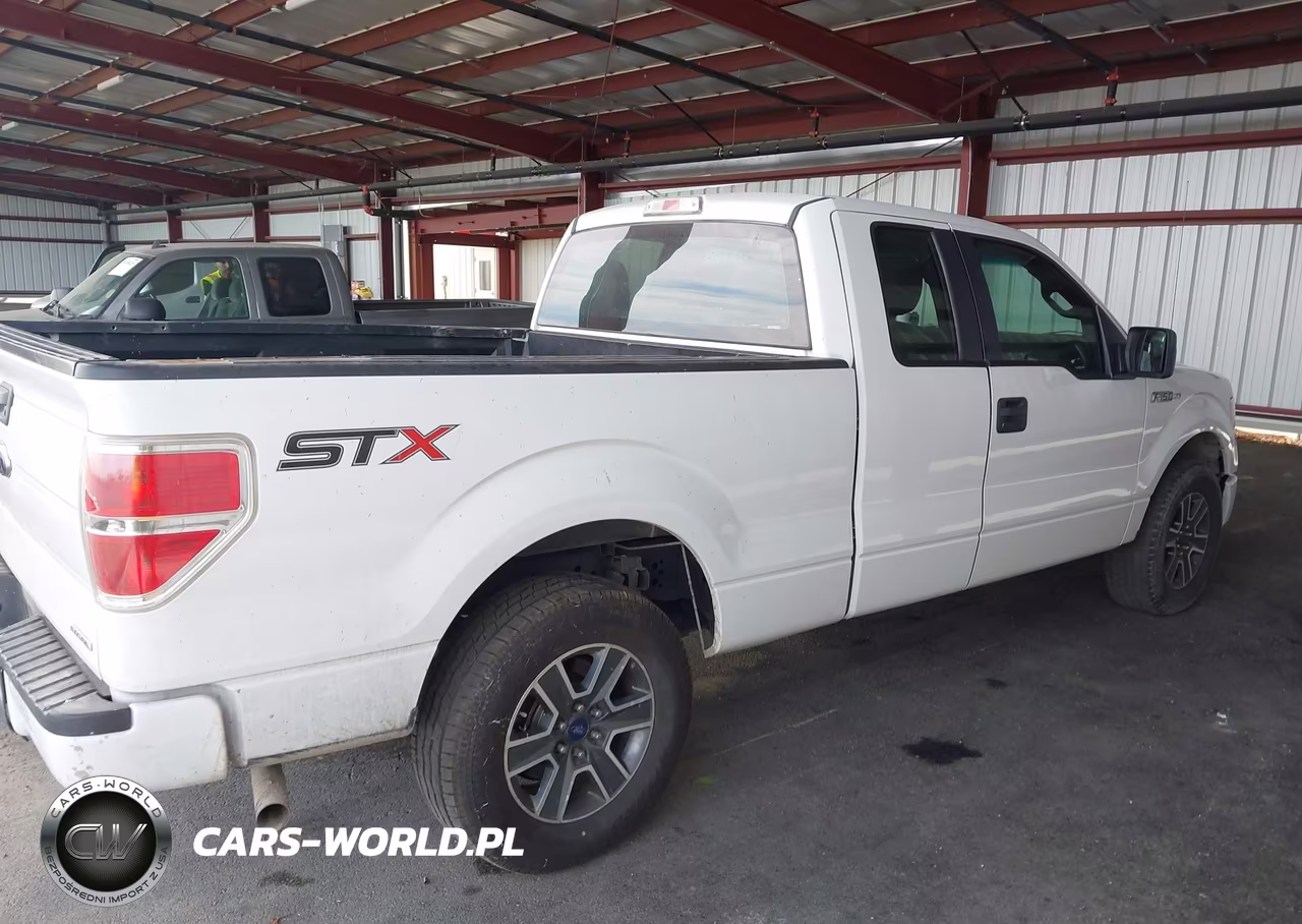 2014 Ford F-150 Stx VIN:1FTEX1CM3EFA33973 - 13