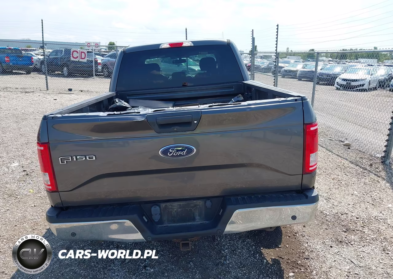2017 Ford F-150 Xlt VIN:1FTFW1EF7HKD44226 - 16