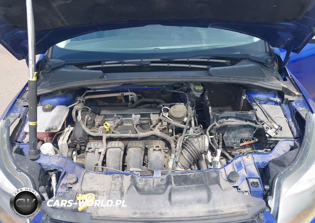 2014 Ford Focus Titanium VIN:1FADP3N21EL123942 - 10