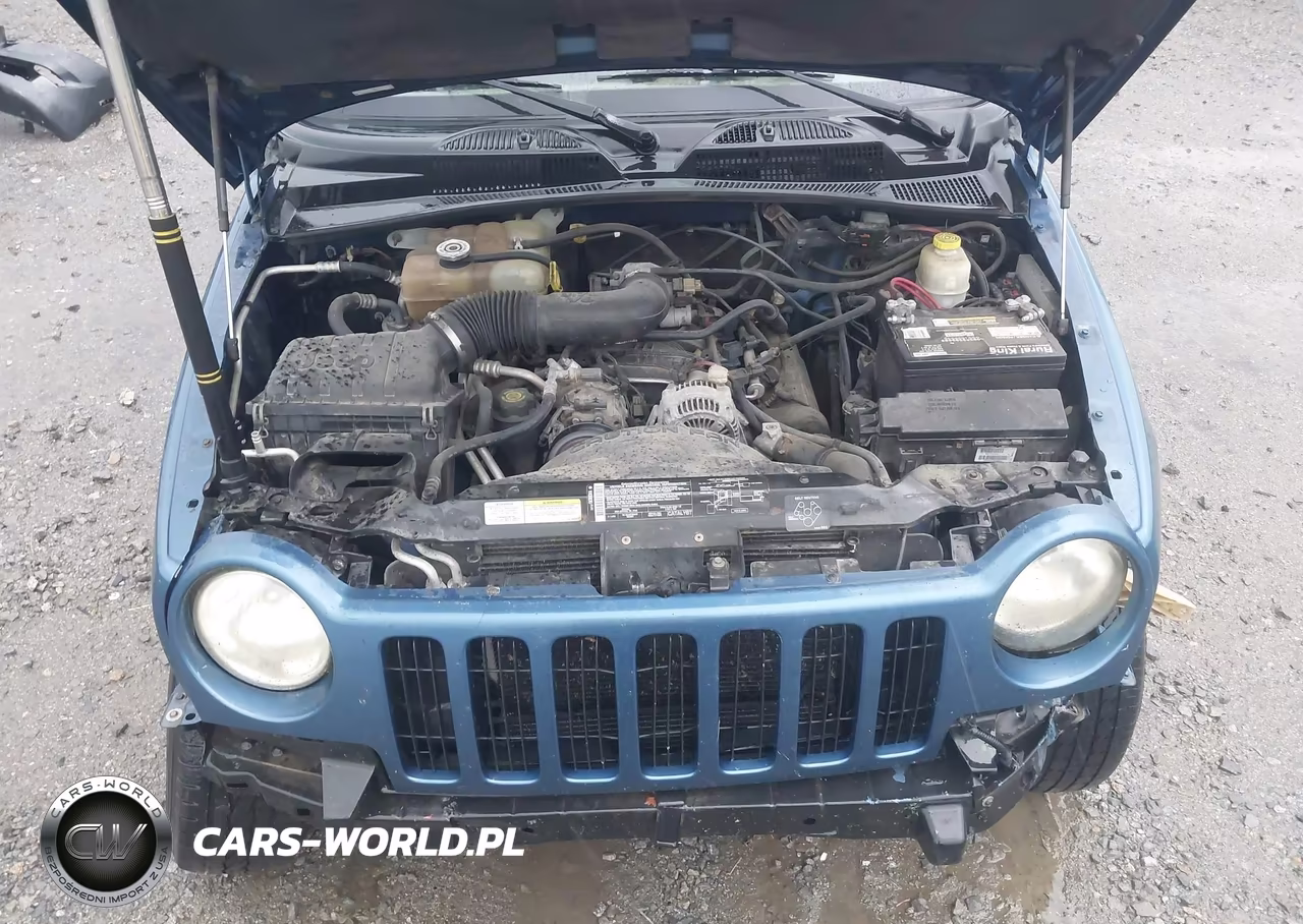 2004 Jeep Liberty Limited Edition VIN:1J4GK58K34W124711 - 10