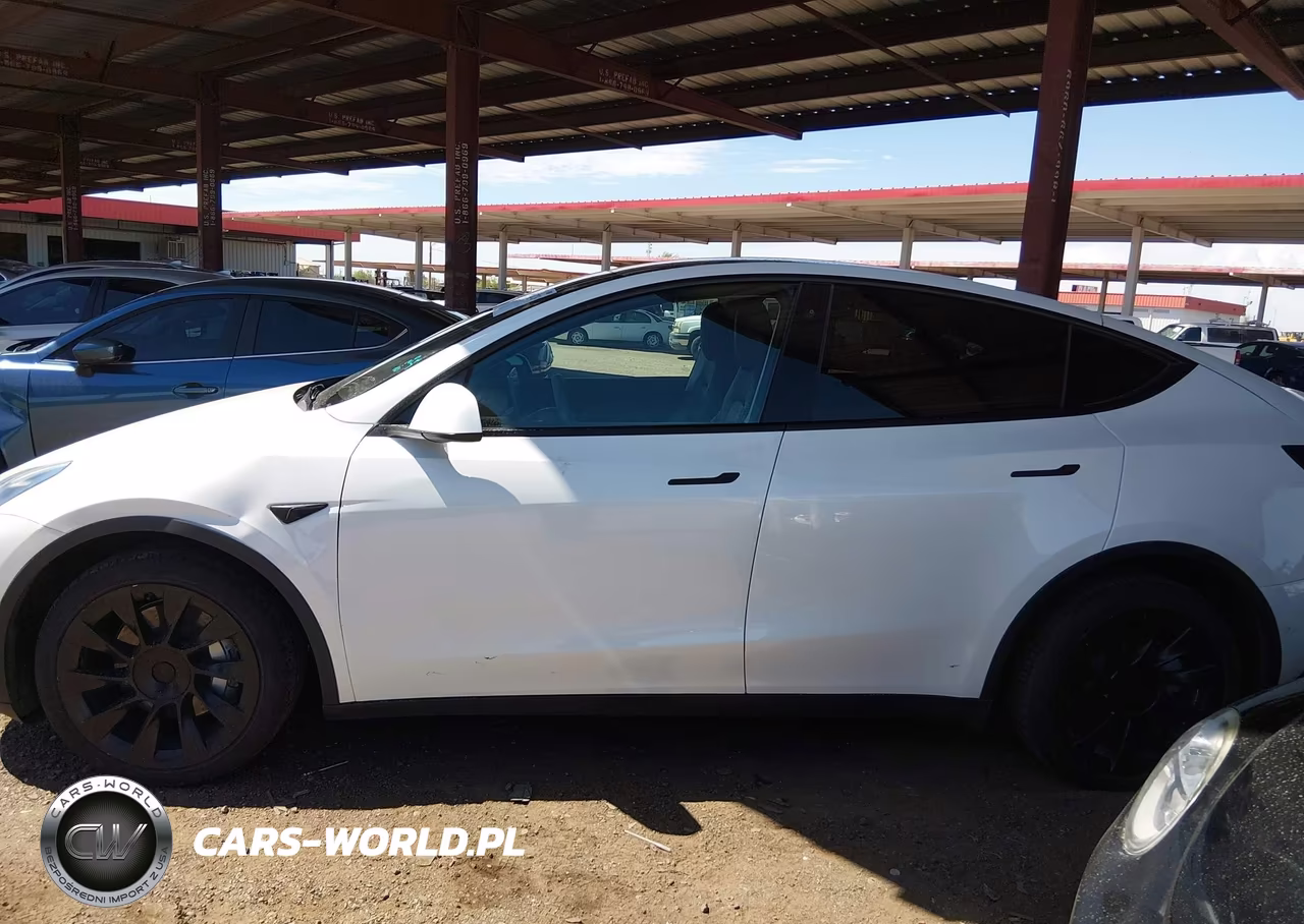 2022 Tesla Model Y Long Range Dual Motor All-Wheel Drive VIN:7SAYGDEE7NF412986 - 12