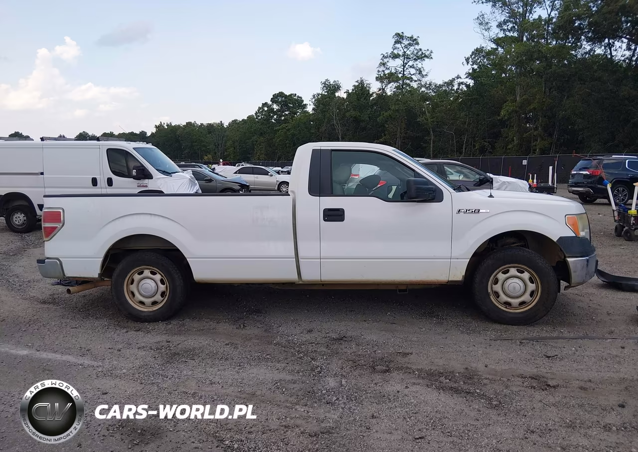 2010 Ford F-150 Stx-Xl-Xl W-Mid-Box Prep-Xlt-Xlt W-Mid-Box Prep VIN:1FTMF1CW9AKE01252 - 12