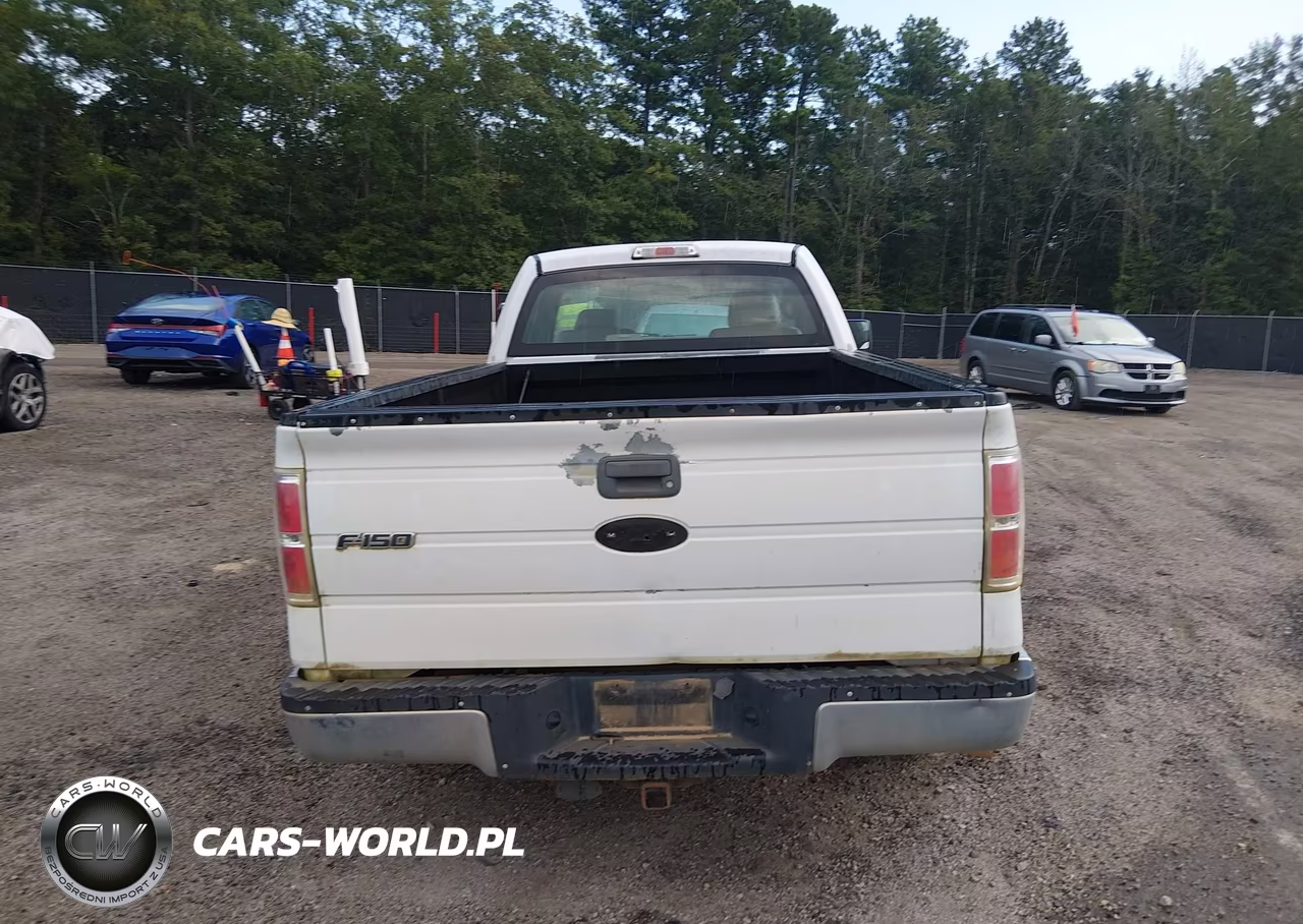 2010 Ford F-150 Stx-Xl-Xl W-Mid-Box Prep-Xlt-Xlt W-Mid-Box Prep VIN:1FTMF1CW9AKE01252 - 15