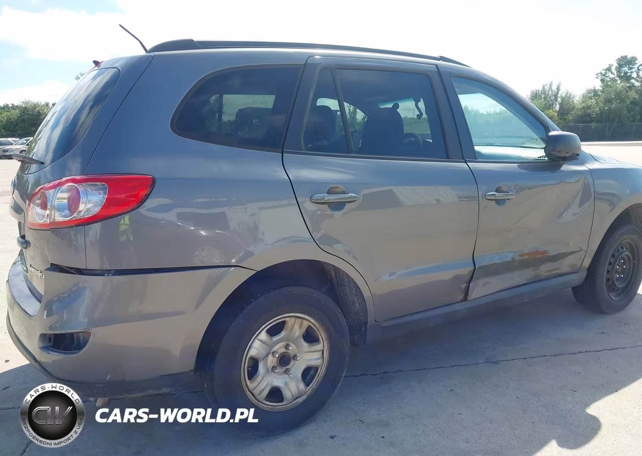 2010 Hyundai Santa Fe Gls VIN:5NMSG3AB0AH390430 - 6
