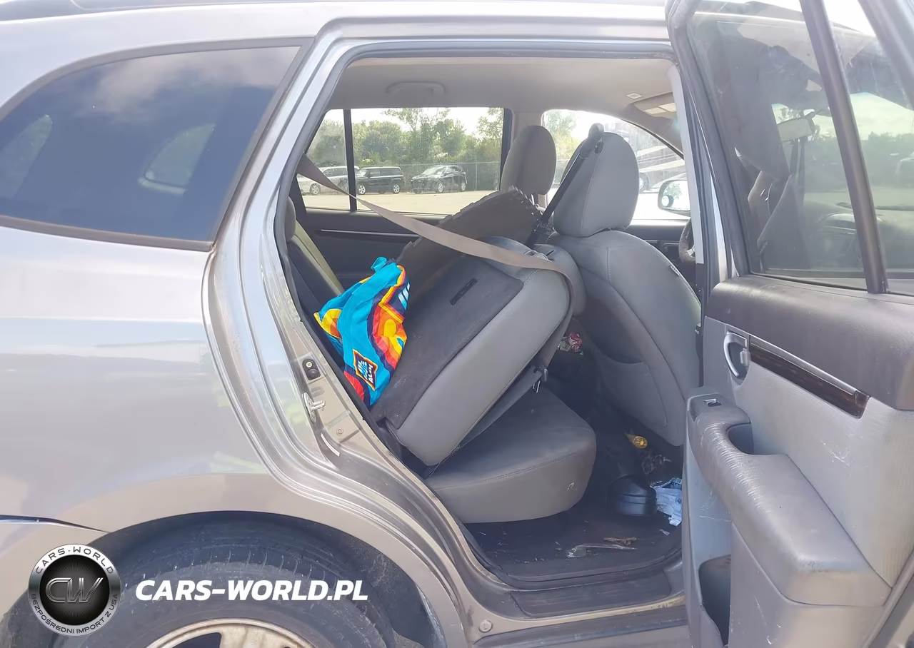 2010 Hyundai Santa Fe Gls VIN:5NMSG3AB0AH390430 - 8