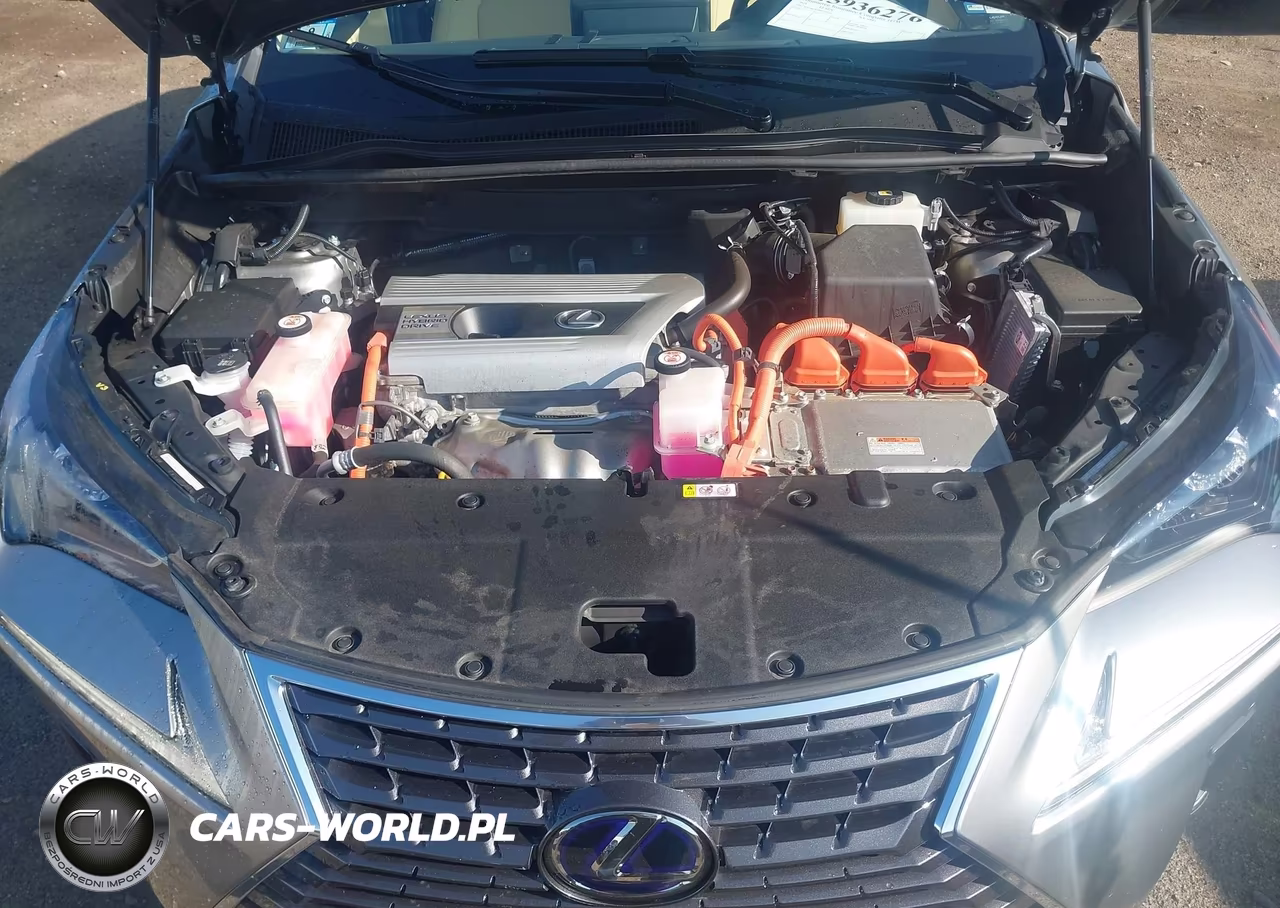 2021 Lexus Nx 300H VIN:JTJGJRDZ0M2167541 - 10