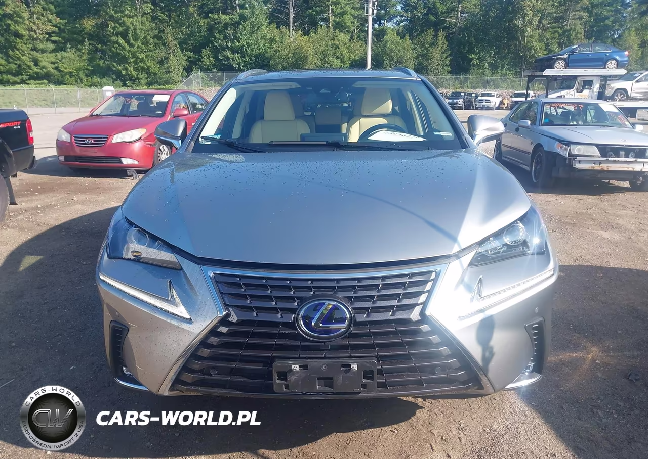 2021 Lexus Nx 300H VIN:JTJGJRDZ0M2167541 - 12