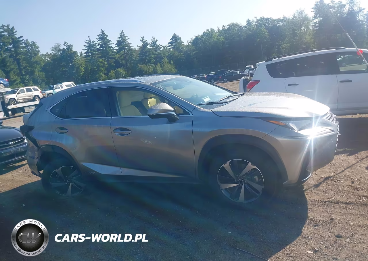 2021 Lexus Nx 300H VIN:JTJGJRDZ0M2167541 - 13