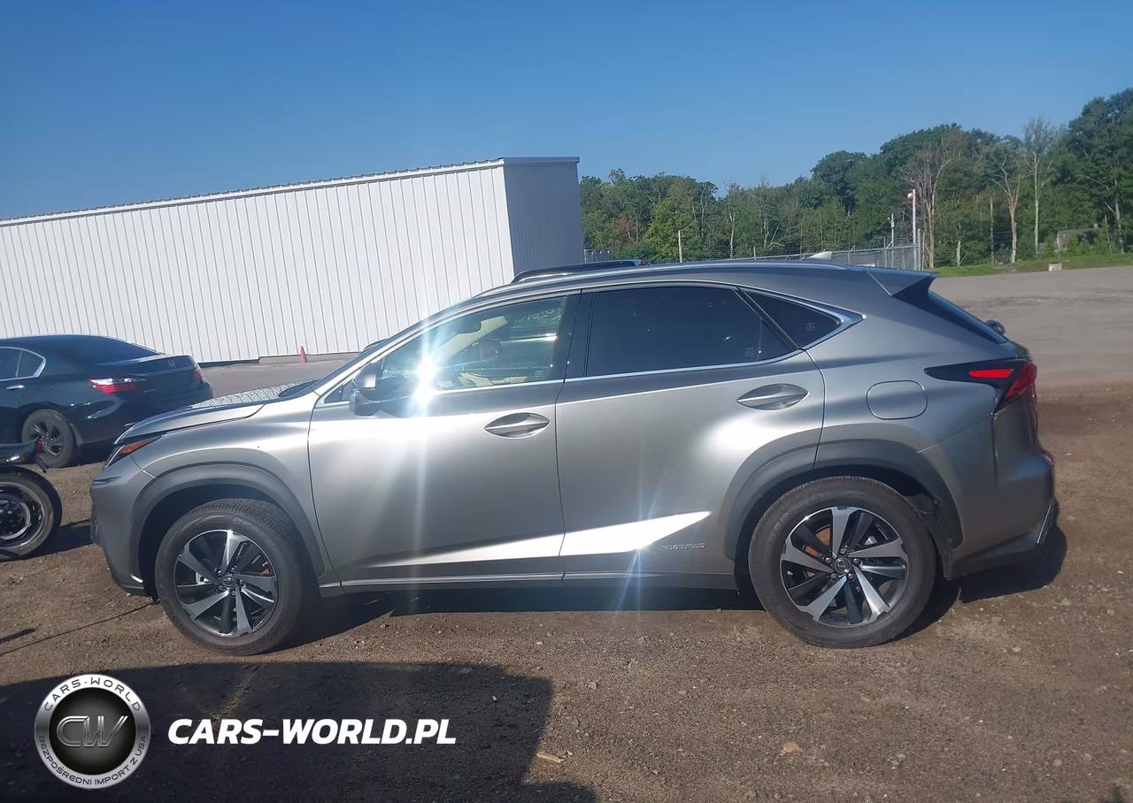 2021 Lexus Nx 300H VIN:JTJGJRDZ0M2167541 - 14