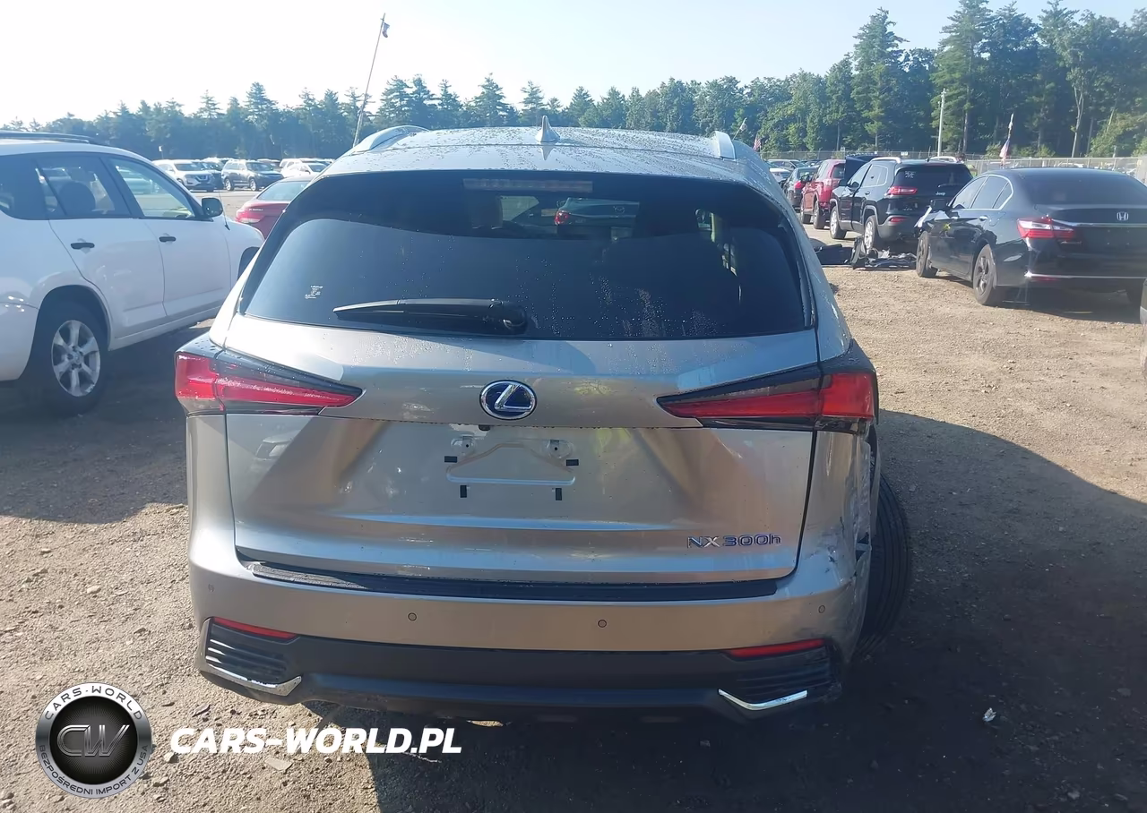 2021 Lexus Nx 300H VIN:JTJGJRDZ0M2167541 - 16