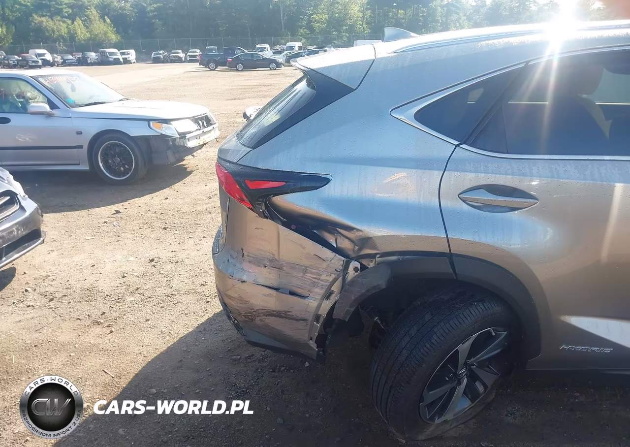 2021 Lexus Nx 300H VIN:JTJGJRDZ0M2167541 - 17