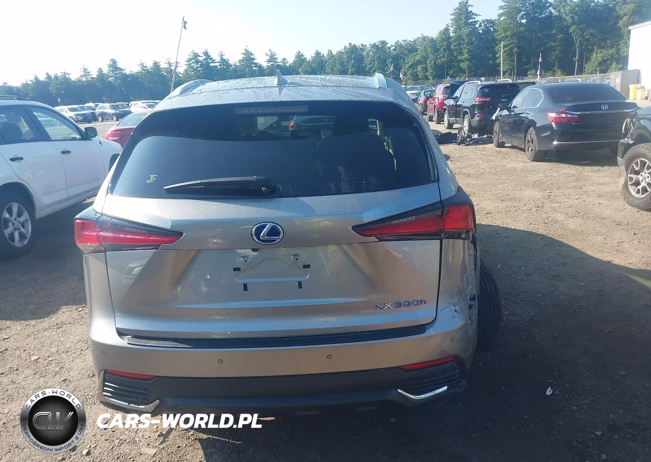 2021 Lexus Nx 300H VIN:JTJGJRDZ0M2167541 - 18