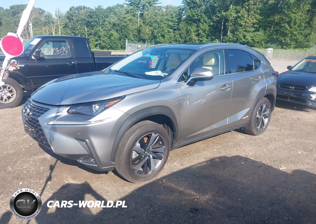 2021 Lexus Nx 300H VIN:JTJGJRDZ0M2167541 - 2