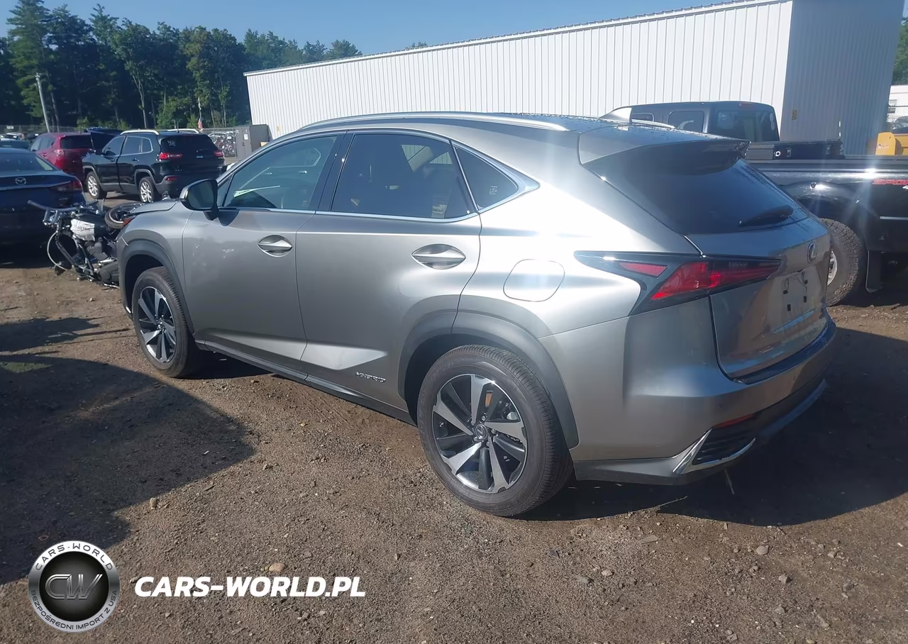 2021 Lexus Nx 300H VIN:JTJGJRDZ0M2167541 - 3