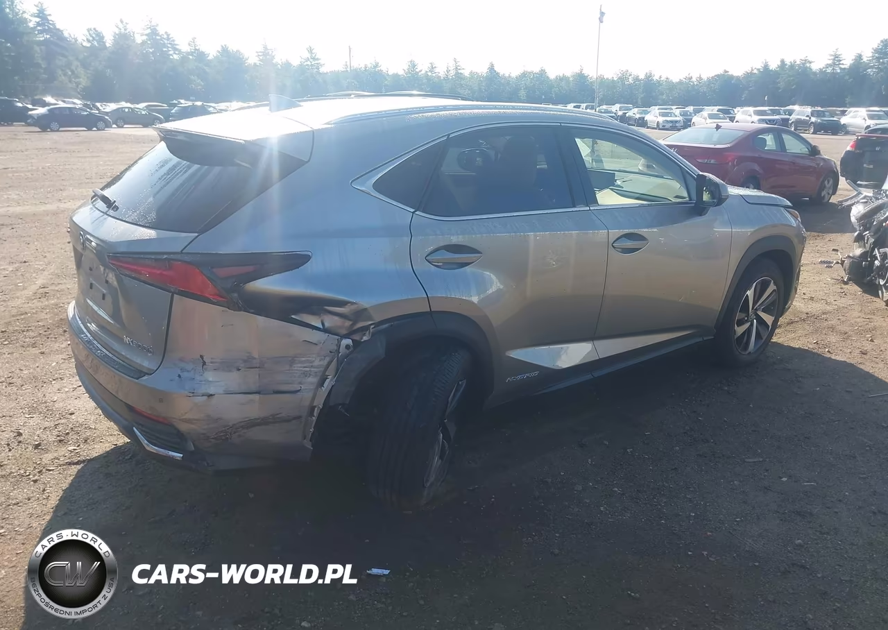 2021 Lexus Nx 300H VIN:JTJGJRDZ0M2167541 - 4