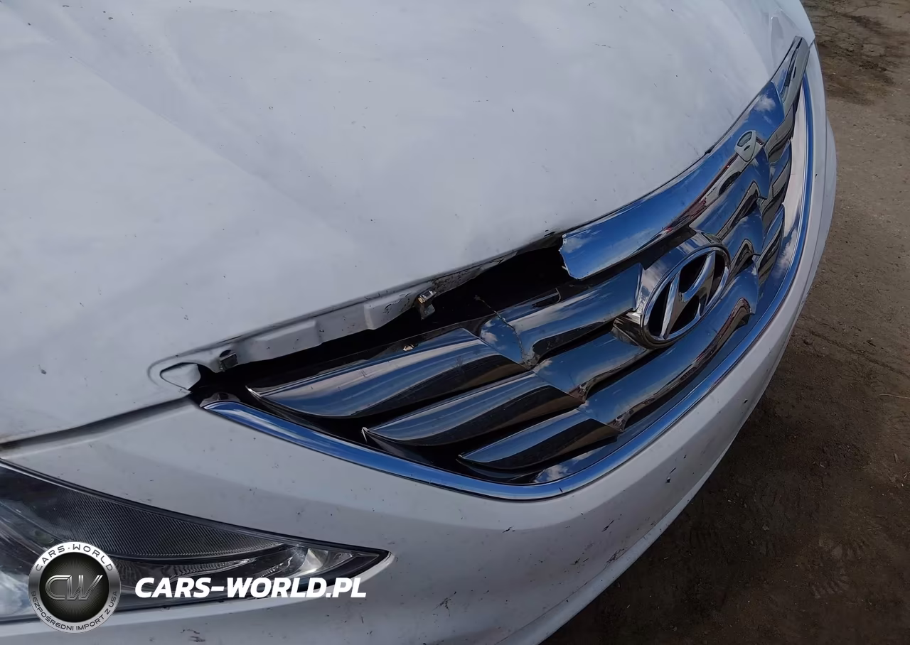 2012 Hyundai Sonata Se VIN:5NPEC4AB0CH496221 - 6