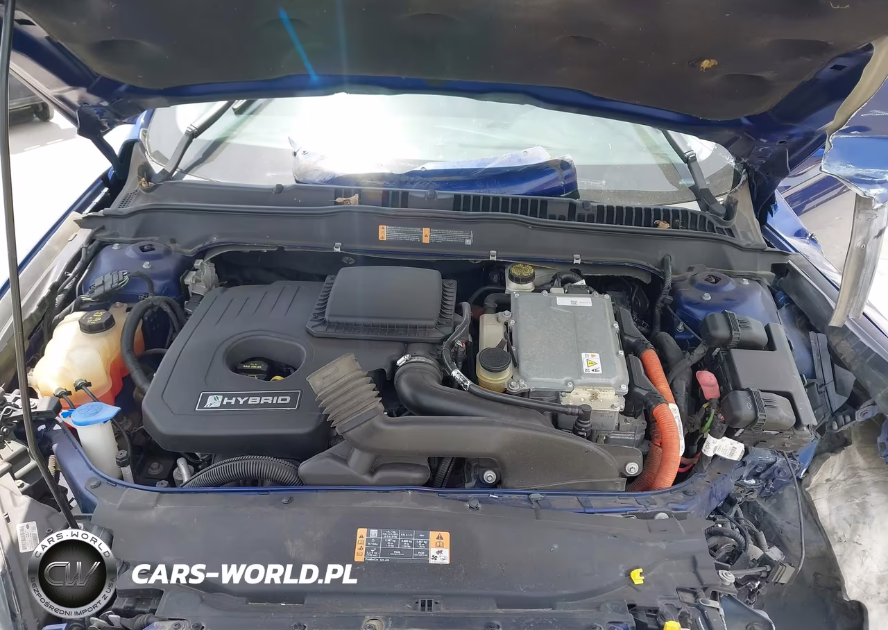 2014 Ford Fusion Hybrid Se VIN:3FA6P0LU2ER244976 - 10