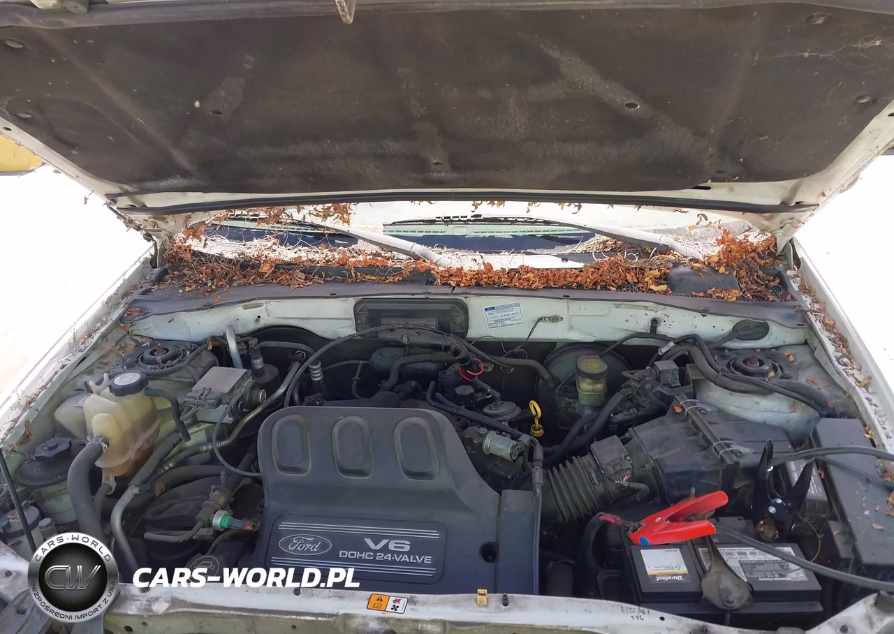 2001 Ford Escape Xlt VIN:1FMYU03131KC23503 - 10