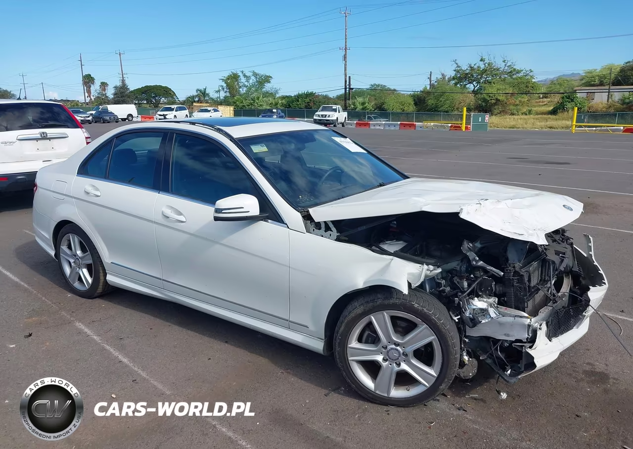 2010 Mercedes-Benz C 300 Luxury-Sport VIN:WDDGF5EB3AF363952 - 1