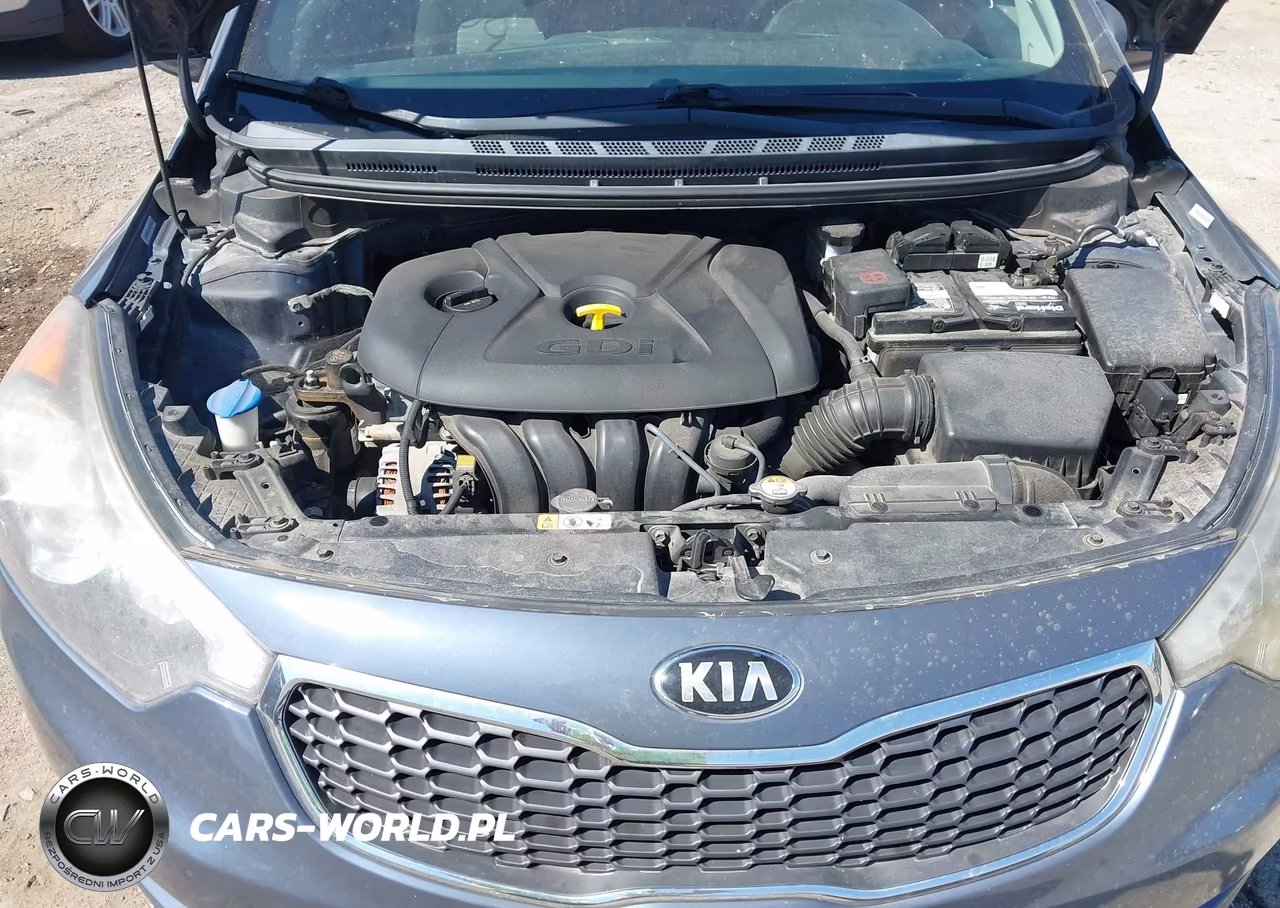2015 Kia Forte Ex VIN:KNAFX4A89F5331203 - 10