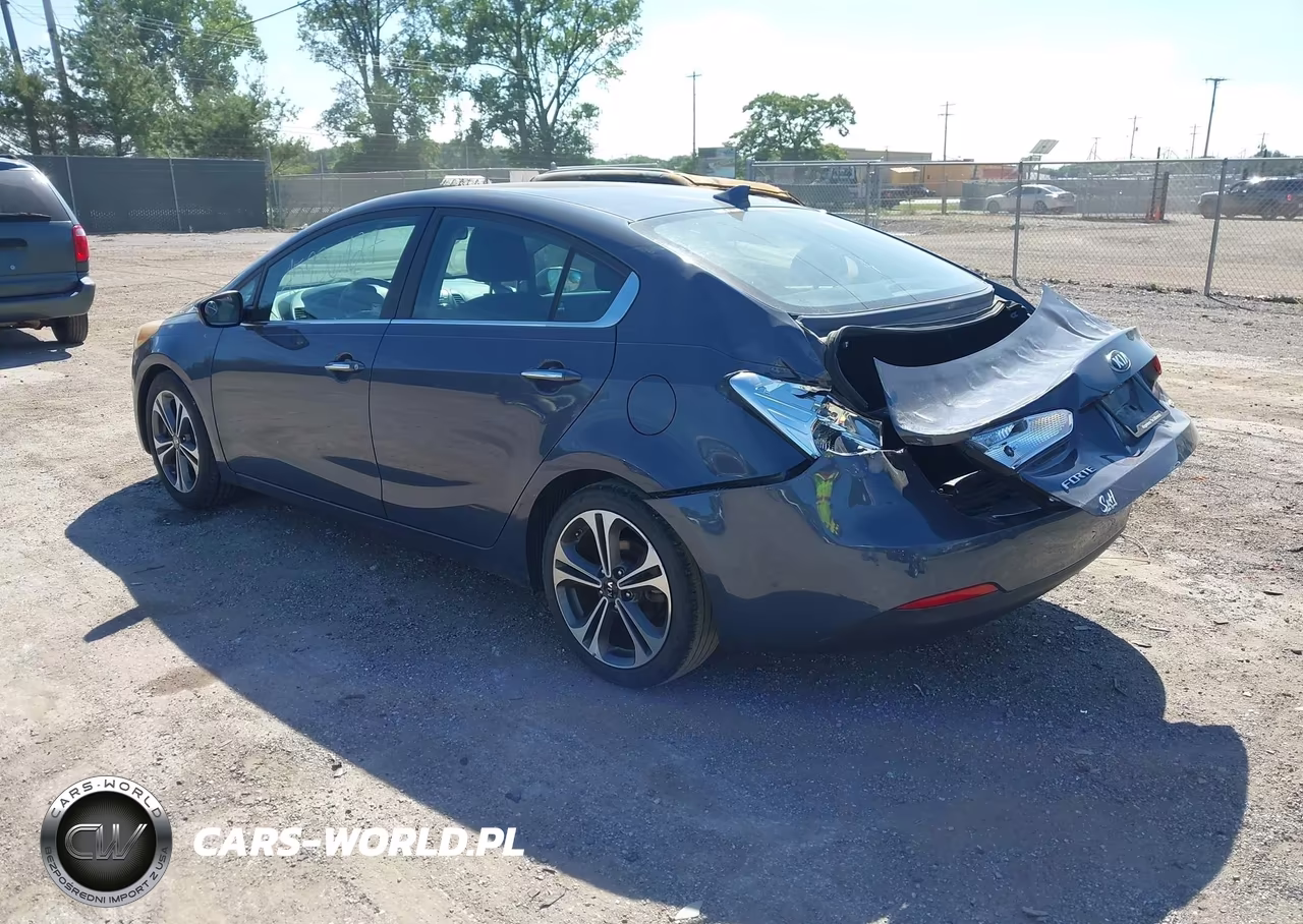 2015 Kia Forte Ex VIN:KNAFX4A89F5331203 - 3