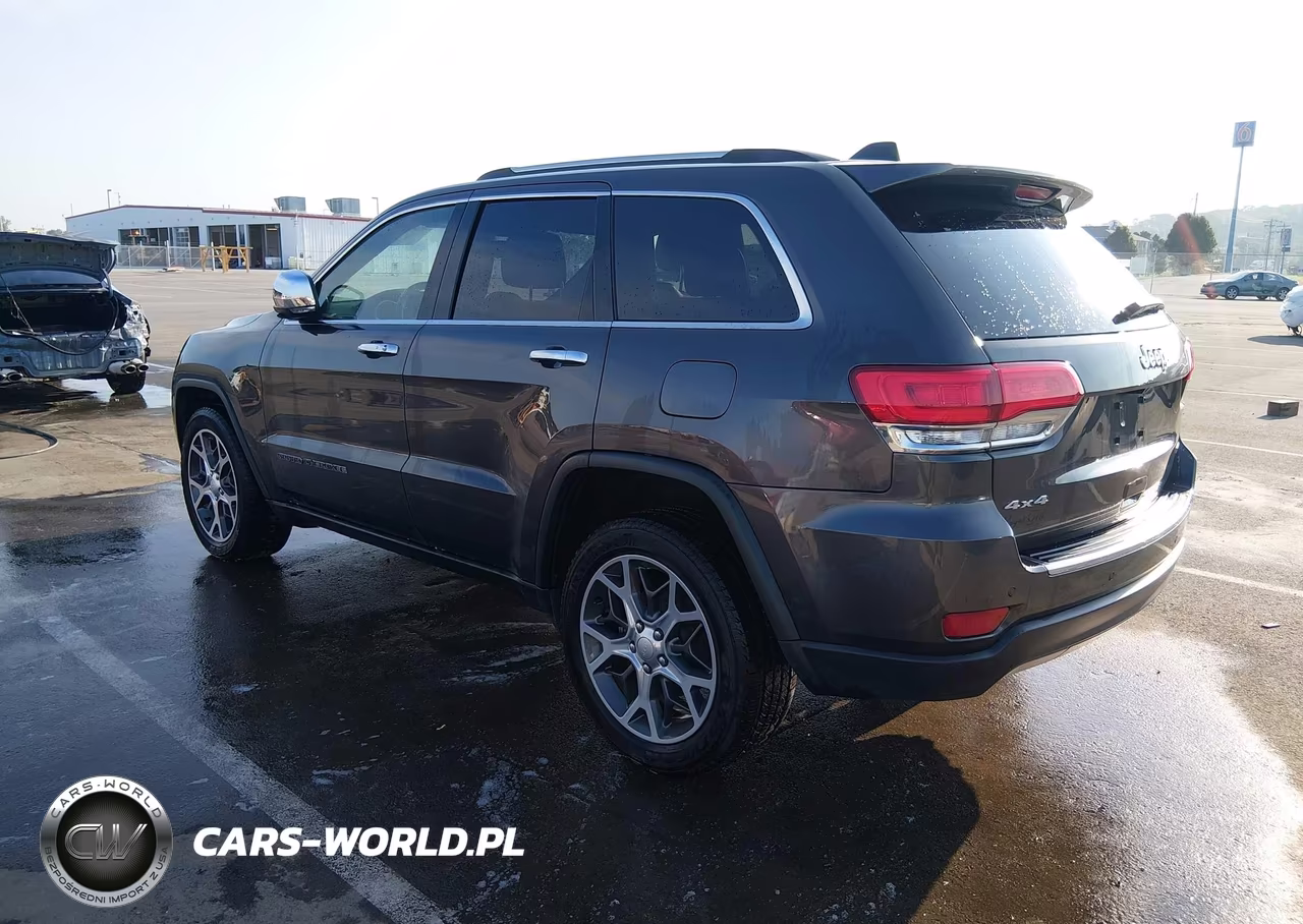 2019 Jeep Grand Cherokee Limited 4X4 VIN:1C4RJFBG2KC788136 - 3