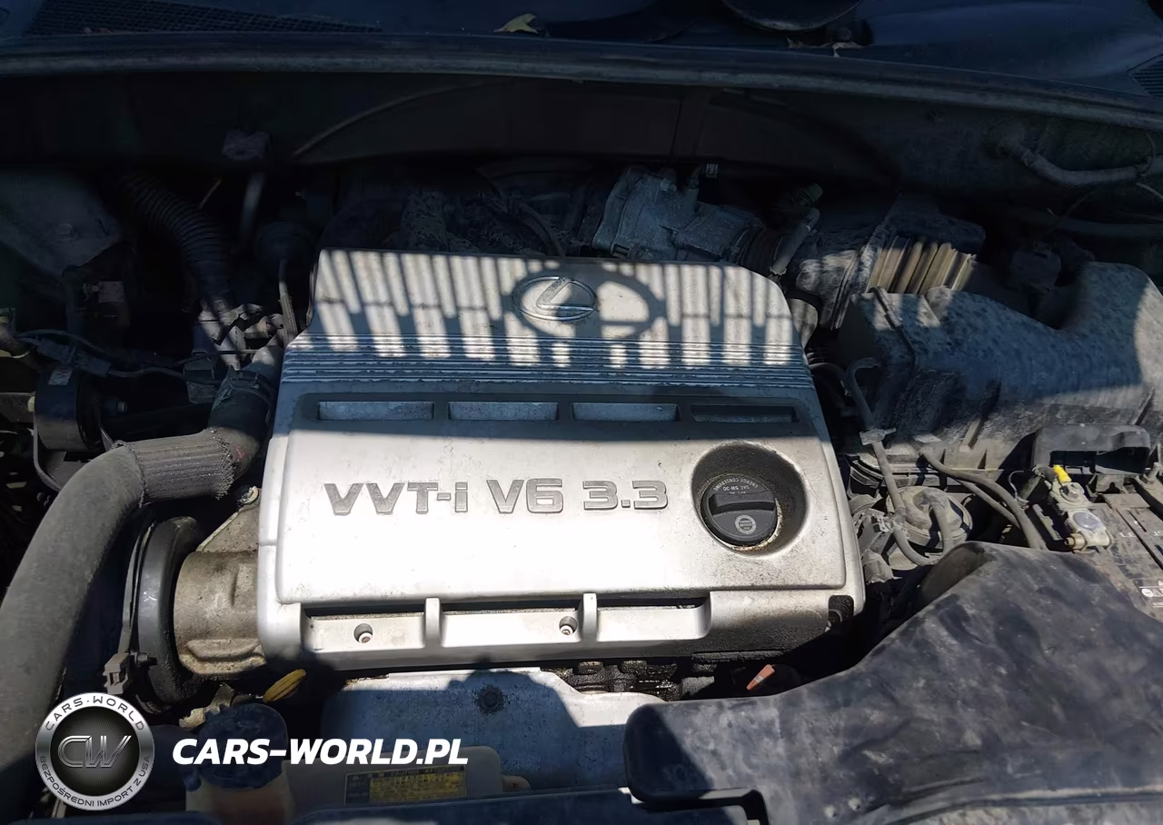 2004 Lexus Rx 330 VIN:JTJHA31U640055316 - 10