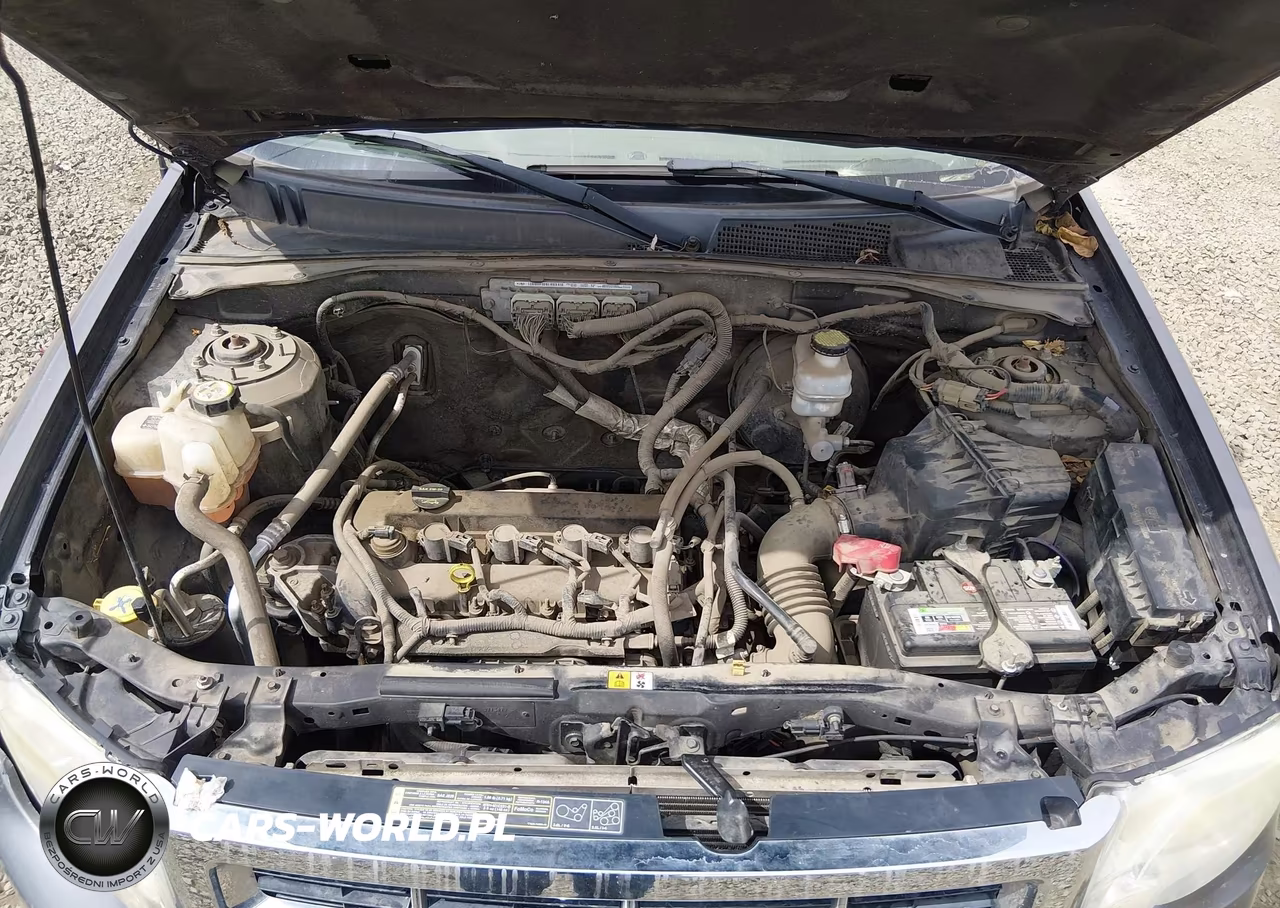 2011 Ford Escape Xlt VIN:1FMCU9D77BKC38041 - 10